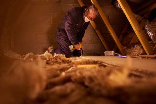 Best Insulation for New Construction  in Sumas, WA